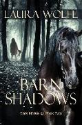 Barn Shadows