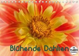 Blühende Dahlien (Tischkalender 2019 DIN A5 quer)