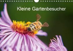 Kleine Gartenbesucher (Wandkalender 2019 DIN A4 quer)