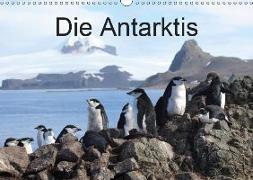 Die Antarktis / CH-Version (Wandkalender 2019 DIN A3 quer)