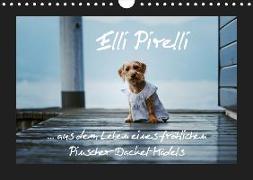 Elli Pirelli... aus dem Leben eines fröhlichen Pinscher-Dackel-Mädels (Wandkalender 2019 DIN A4 quer)