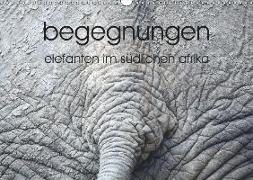 begegnungen - elefanten im südlichen afrika (Wandkalender 2019 DIN A3 quer)