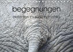 begegnungen - elefanten im südlichen afrika (Tischkalender 2019 DIN A5 quer)