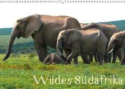 Wildes Südafrika (Wandkalender 2019 DIN A3 quer)