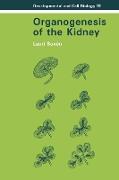 Organogenesis of the Kidney