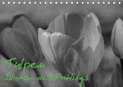 Tulpen - Blumen des Frühlings (Tischkalender 2019 DIN A5 quer)