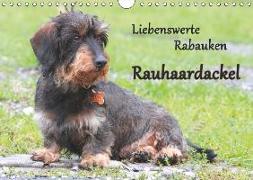 Liebenswerte Rabauken Rauhaardackel / CH-Version (Wandkalender 2019 DIN A4 quer)