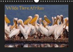 Wilde Tiere Afrikas (Wandkalender 2019 DIN A4 quer)