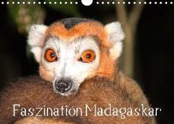 Faszination Madagaskar (Wandkalender 2019 DIN A4 quer)