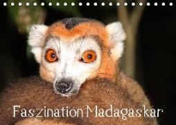 Faszination Madagaskar (Tischkalender 2019 DIN A5 quer)