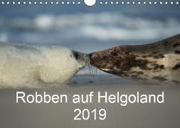 Robben auf Helgoland 2019CH-Version (Wandkalender 2019 DIN A4 quer)