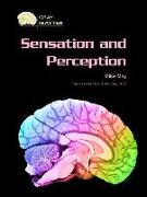 Sensation and Perception