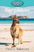 Kangaroos