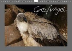 Greifvögel (Wandkalender 2019 DIN A4 quer)