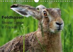 Feldhasen - Meister Lampe in Franken (Wandkalender 2019 DIN A4 quer)