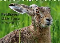Feldhasen - Meister Lampe in Franken (Wandkalender 2019 DIN A3 quer)