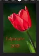 Tulpenjahr (Wandkalender 2019 DIN A3 hoch)