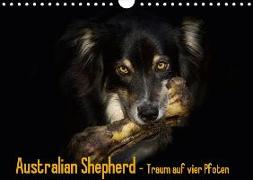 Australian Shepherd - Traum auf vier Pfoten (Wandkalender 2019 DIN A4 quer)