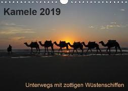 Kamele 2019 - Unterwegs mit zottigen WüstenschiffenCH-Version (Wandkalender 2019 DIN A4 quer)