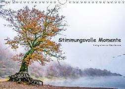 Stimmungsvolle Momente (Wandkalender 2019 DIN A4 quer)