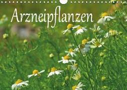 Arzneipflanzen (Wandkalender 2019 DIN A4 quer)