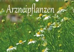 Arzneipflanzen (Wandkalender 2019 DIN A3 quer)