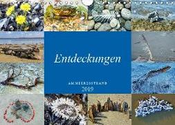 Entdeckungen am Meeresstrand (Wandkalender 2019 DIN A4 quer)