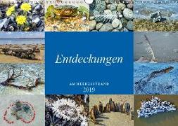 Entdeckungen am Meeresstrand (Wandkalender 2019 DIN A3 quer)