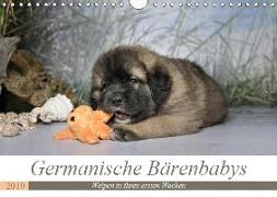 Germanische Bärenbabys (Wandkalender 2019 DIN A4 quer)