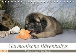 Germanische Bärenbabys (Tischkalender 2019 DIN A5 quer)