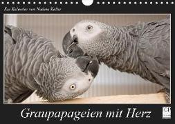 Graupapageien mit Herz (Wandkalender 2019 DIN A4 quer)