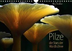 Pilze - die Stars der Waldbühne (Wandkalender 2019 DIN A4 quer)