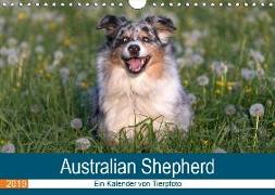 Australian Shepherd 2019 (Wandkalender 2019 DIN A4 quer)