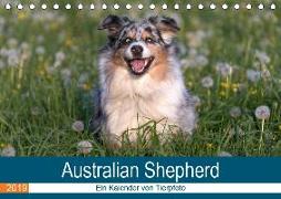Australian Shepherd 2019 (Tischkalender 2019 DIN A5 quer)