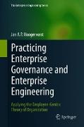 Practicing Enterprise Governance and Enterprise Engineering