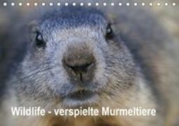 Wildlife - Verspielte Murmeltiere (Tischkalender 2019 DIN A5 quer)