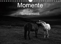 Momente in Schwarzweiß (Wandkalender 2019 DIN A4 quer)