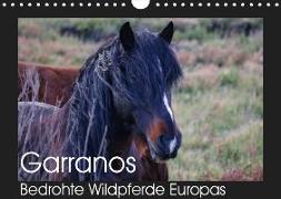 Garranos - Bedrohte Wildpferde Europas (Wandkalender 2019 DIN A4 quer)