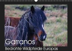 Garranos - Bedrohte Wildpferde Europas (Wandkalender 2019 DIN A3 quer)