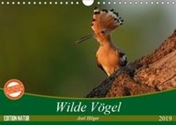 Wilde Vögel (Wandkalender 2019 DIN A4 quer)
