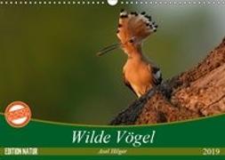 Wilde Vögel (Wandkalender 2019 DIN A3 quer)