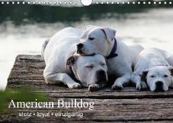 American Bulldog - stolz, loyal, einzigartig (Wandkalender 2019 DIN A4 quer)