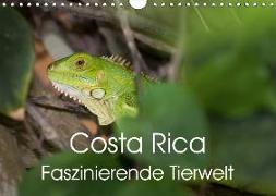Costa Rica. Faszinierende Tierwelt (Wandkalender 2019 DIN A4 quer)