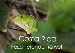 Costa Rica. Faszinierende Tierwelt (Wandkalender 2019 DIN A3 quer)