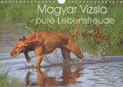 Magyar Vizsla - pure Lebensfreude (Wandkalender 2019 DIN A4 quer)