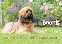 Briards - sanfte Riesen mit Temperament (Wandkalender 2019 DIN A4 quer)
