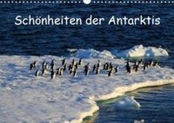 Schönheiten der Antarktis (Wandkalender 2019 DIN A3 quer)