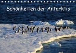 Schönheiten der Antarktis (Tischkalender 2019 DIN A5 quer)