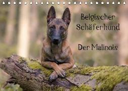 Belgischer Schäferhund - Der Malinois (Tischkalender 2019 DIN A5 quer)
