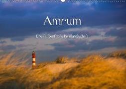 Amrum - Eine farbenfrohe Insellandschaft (Wandkalender 2019 DIN A2 quer)